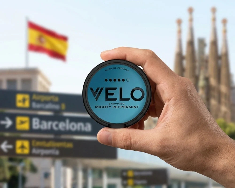 Ręka trzymająca puszkę VELO Mighty Peppermint na tle znaków drogowych w Barcelonie, flagi hiszpańskiej i Sagrada Familia